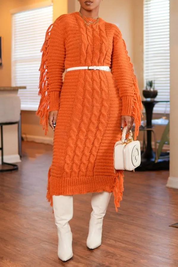 Stylish Fringe Trim Sweater Dress